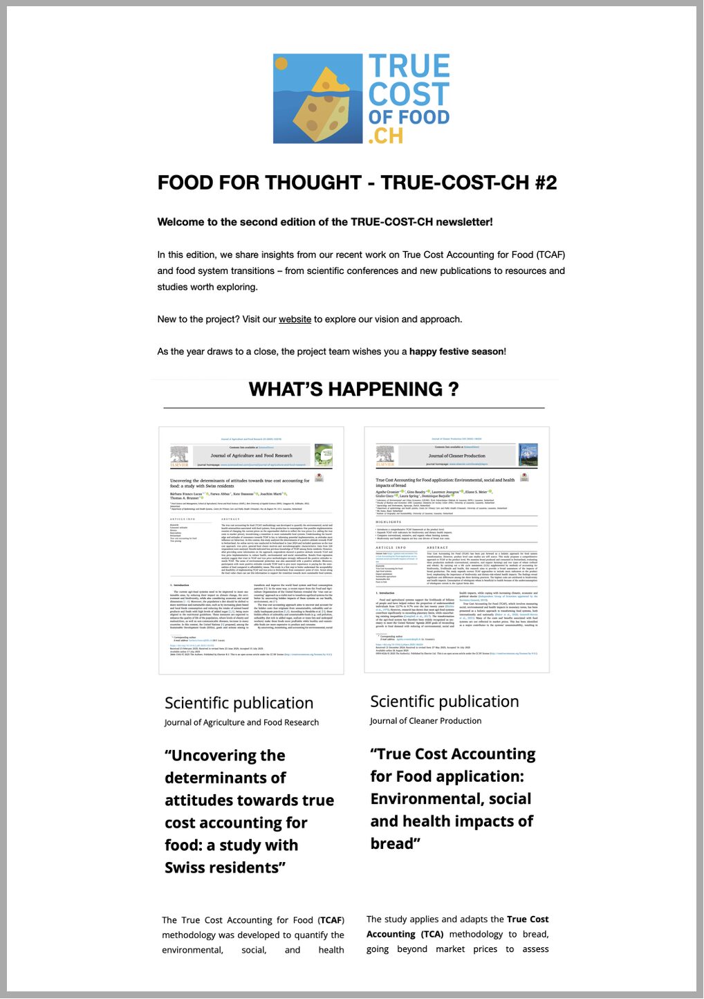 Cover image of newsletter 2